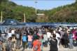 車中泊ハイエース たて干し大会_92 たて干し大会_92