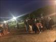 車中泊ハイエース たて干し大会_105 キャンプ_105
